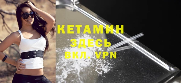 прущие грибы Белокуриха