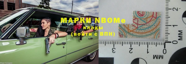 прущие грибы Белокуриха