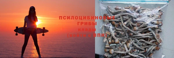 прущие грибы Белокуриха