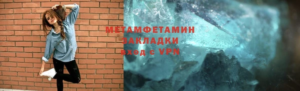 прущие грибы Белокуриха