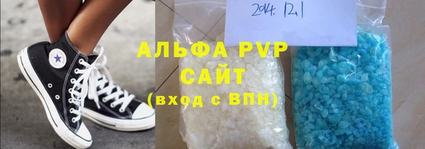 прущие грибы Белокуриха