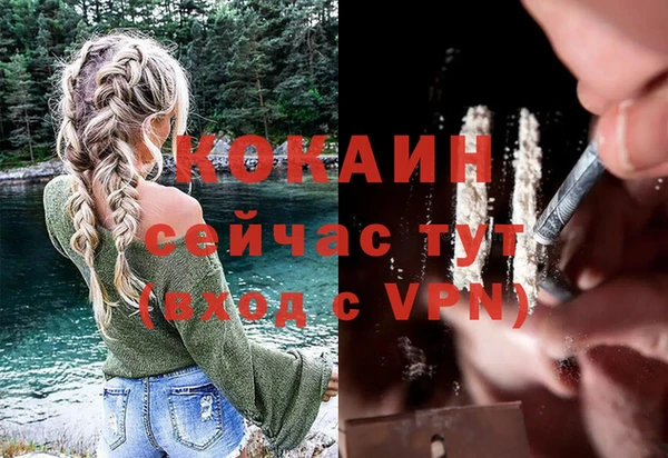 прущие грибы Белокуриха