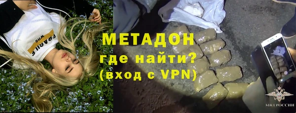 прущие грибы Белокуриха