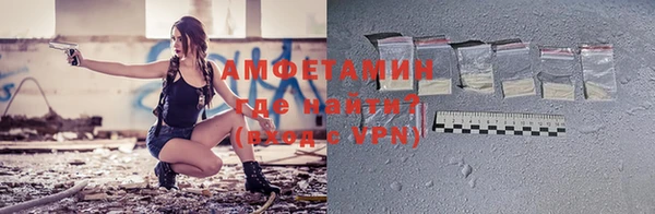 прущие грибы Белокуриха