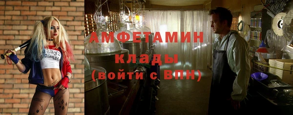 прущие грибы Белокуриха