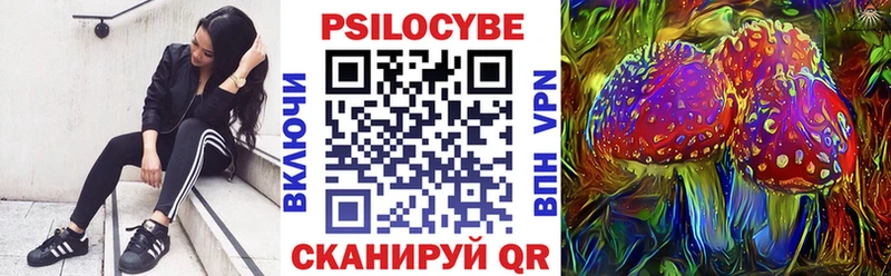 Псилоцибиновые грибы Psilocybine cubensis  сайты даркнета какой сайт  Хабаровск  ОМГ ОМГ ссылка 
