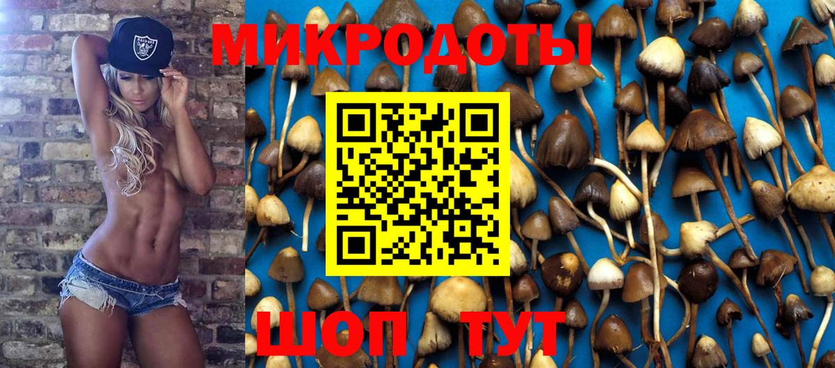 где продают   Россия  Галлюциногенные грибы мухоморы  Псилоцибиновые грибы Cubensis 