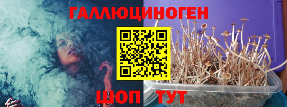 Псилоцибиновые грибы Magic Shrooms Россия